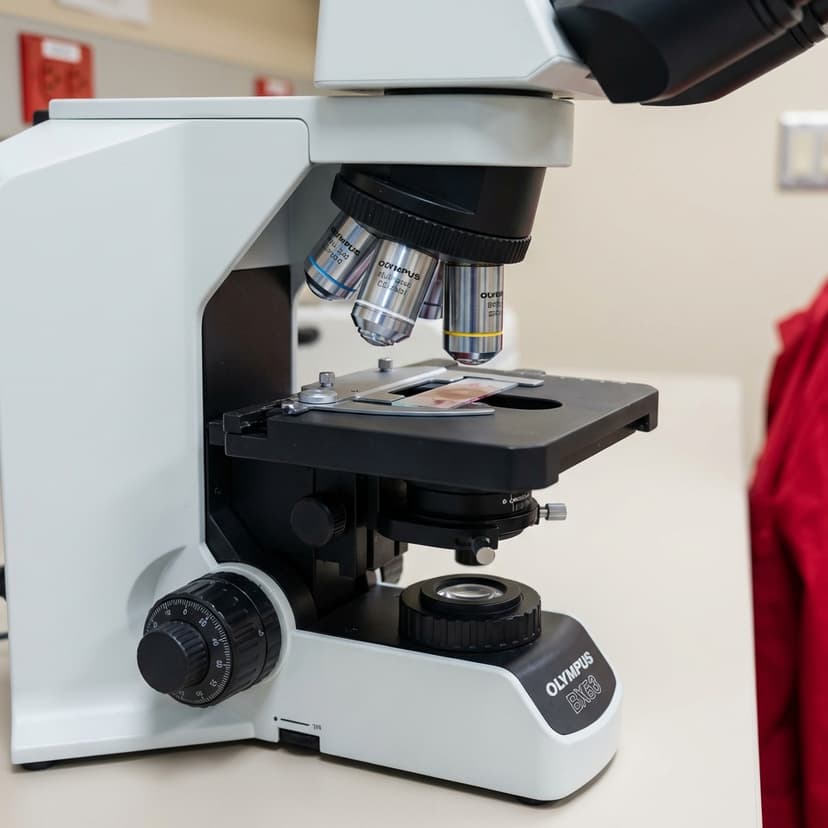 Microscopes Optiques de Haute Précision